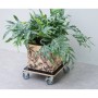 Nature Soporte con ruedas para plantas cuadrado madera negro 38x38 cm de , Soportes para macetas - Ref: Foro24-446407, Precio...