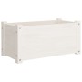Jardinera de madera maciza de pino blanca 60x31x31 cm de , Maceteros y jardineras - Ref: Foro24-810706, Precio: 32,94 €, Desc...