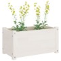 Jardinera de madera maciza de pino blanca 60x31x31 cm de , Maceteros y jardineras - Ref: Foro24-810706, Precio: 32,94 €, Desc...