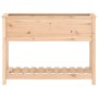 Jardinera con estante madera maciza de pino 111,5x34,5x81 cm de , Maceteros y jardineras - Ref: Foro24-823766, Precio: 87,57 ...