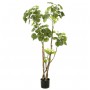 Emerald Árbol Polyscias artificial 135 cm 420292 de , Flora artificial - Ref: Foro24-414511, Precio: 112,12 €, Descuento: %