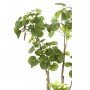Emerald Árbol Polyscias artificial 135 cm 420292 de , Flora artificial - Ref: Foro24-414511, Precio: 112,12 €, Descuento: %