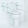 RIDDER Barra de apoyo para inodoro 55,5 cm 100 kg A0130101 de , Asideros de seguridad - Ref: Foro24-421616, Precio: 123,12 €,...