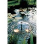 Ubbink Bomba de estanque Elimax 1000 1351301 de , Accesorios para estanques y fuentes - Ref: Foro24-403742, Precio: 63,43 €, ...