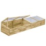 Invernadero de madera de pino impregnada 2 uds 200x50x35 cm de , Invernaderos - Ref: Foro24-3055328, Precio: 304,82 €, Descue...