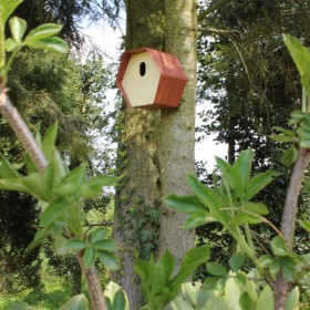 Capi Casita para pájaros Hive 2 agujero ovalado marrón 19x23x20 cm de , Pajareras - Ref: Foro24-447495, Precio: 25,25 €, Desc...