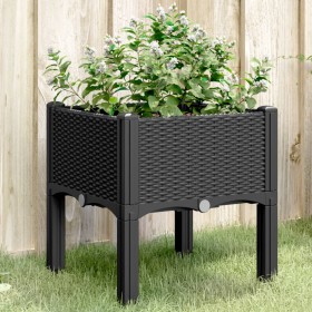 Jardinera con patas PP negro 40x40x42 cm de , Maceteros y jardineras - Ref: Foro24-367888, Precio: 38,14 €, Descuento: %