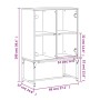 Armario auxiliar con puertas de vidrio negro 69x37x100 cm de , Aparadores - Ref: Foro24-836547, Precio: 89,64 €, Descuento: %