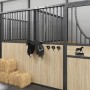 Soporte para bridas de pared hierro negro de , Accesorios para riendas de caballos - Ref: Foro24-172445, Precio: 17,68 €, Des...