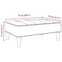 Reposapiés de terciopelo gris claro 77x55x31 cm de , Otomanas - Ref: Foro24-4007384, Precio: 67,74 €, Descuento: %