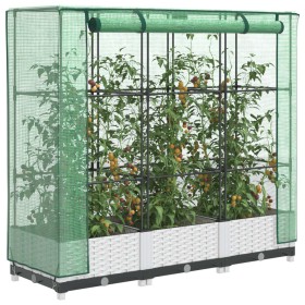 Arriate con cubierta invernadero aspecto ratán 120x40x123 cm de , Maceteros y jardineras - Ref: Foro24-4015839, Precio: 88,26...