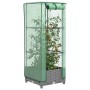Arriate con cubierta invernadero aspecto ratán 40x40x123 cm de , Maceteros y jardineras - Ref: Foro24-4015851, Precio: 44,89 ...