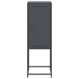 Aparador de acero gris antracita 36x39x107 cm de , Aparadores - Ref: Foro24-846532, Precio: 68,50 €, Descuento: %