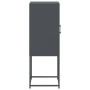 Aparador de acero gris antracita 36x39x107 cm de , Aparadores - Ref: Foro24-846532, Precio: 68,50 €, Descuento: %
