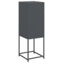 Aparador de acero gris antracita 36x39x107 cm de , Aparadores - Ref: Foro24-846532, Precio: 68,50 €, Descuento: %