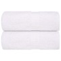 Toallas de jabón 2 piezas blanco 30x30 cm 360 gsm 100% algodón de , Toallas - Ref: Foro24-136641, Precio: 11,06 €, Descuento: %