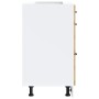 Mueble bajo de cocina Lucca roble artesanal de , Armarios de cocina - Ref: Foro24-854278, Precio: 113,23 €, Descuento: %