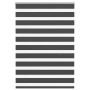 Estor cebra negro 100x150 cm tejido ancho 95,9 cm poliéster de , Persianas y estores - Ref: Foro24-4014235, Precio: 33,98 €, ...