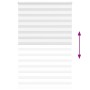 Estor cebra blanco 150x230 cm tejido ancho 145,9 cm poliéster de , Persianas y estores - Ref: Foro24-4014817, Precio: 36,98 €...