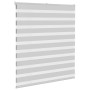 Estor cebra gris claro 125x100cm tejido ancho 120,9cm poliéster de , Persianas y estores - Ref: Foro24-4014422, Precio: 23,14...