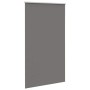 Estor Enrollable Opaco gris 125x210 cm Tela Ancho 121,6 cm de , Persianas y estores - Ref: Foro24-4011185, Precio: 32,43 €, D...