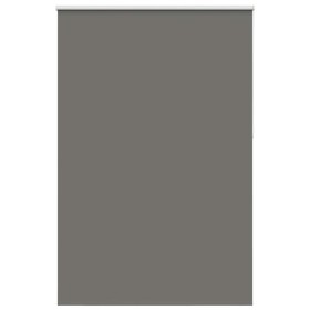 Estor Enrollable Opaco gris 165x210 cm Tela Ancho 161,6 cm de , Persianas y estores - Ref: Foro24-4011193, Precio: 33,30 €, D...
