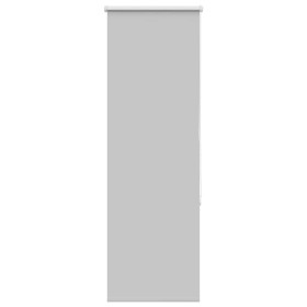 Estor Enrollable Opaco gris claro 50x150 cm Tela Ancho 45,7 cm de , Persianas y estores - Ref: Foro24-4011378, Precio: 14,82 ...