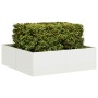 Jardinera acero blanco 100x100x30 cm de , Maceteros y jardineras - Ref: Foro24-860809, Precio: 73,01 €, Descuento: %