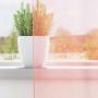 Cortinas de gasa con trabillas 2 uds rosa 140x140 cm de , Cortinas y visillos - Ref: Foro24-4102286, Precio: 14,34 €, Descuen...