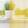 Cortinas de gasa con trabillas 2 uds amarillo 140x260 cm de , Cortinas y visillos - Ref: Foro24-4102320, Precio: 17,05 €, Des...