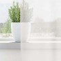 Cortinas de gasa con trabillas 2 uds. color blanco 140x245 cm de , Cortinas y visillos - Ref: Foro24-4102334, Precio: 18,27 €...