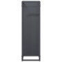 Leñero antracita 25x25x80 cm Acero laminado en frío de , Bolsas y soportes de leña - Ref: Foro24-864265, Precio: 44,17 €, Des...