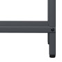 Leñero antracita 40x25x120 cm Acero laminado en frío de , Bolsas y soportes de leña - Ref: Foro24-864301, Precio: 50,36 €, De...