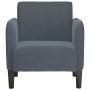 Sillón con reposabrazos Terciopelo Gris Oscuro 54 cm de , Sillones - Ref: Foro24-4100579, Precio: 113,14 €, Descuento: %