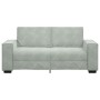 Sofá de 2 plazas de terciopelo gris claro 140 cm de , Sofás - Ref: Foro24-4105020, Precio: 205,06 €, Descuento: %