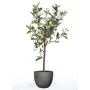 Emerald Artificial mini olive tree 65 cm by Emerald, artificial flora - Ref: Foro24-435920, Price: 45,31 €, Discount: %