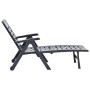 Tumbona plegable de plástico gris antracita de , Tumbonas - Ref: Foro24-48756, Precio: 118,28 €, Descuento: %