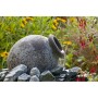 Set fuente de agua para jardín Ubbink Orange 1308280 de , Accesorios para estanques y fuentes - Ref: Foro24-403794, Precio: 1...