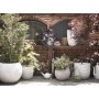 Capi Jarrón Nature Row KRWI782 elegante bajo color marfil 36x47 cm de , Maceteros y jardineras - Ref: Foro24-424276, Precio: ...