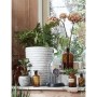 Capi Jarrón Nature Row KRWI782 elegante bajo color marfil 36x47 cm de , Maceteros y jardineras - Ref: Foro24-424276, Precio: ...