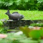Ubbink Fuente de jardín con chorro y en forma de pez tumbado de , Fuentes y cascadas - Ref: Foro24-442056, Precio: 50,37 €, D...