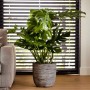 Capi Macetero Nature Rib gris antracita 43x41 cm KOFZ933 de , Maceteros y jardineras - Ref: Foro24-424243, Precio: 96,11 €, D...