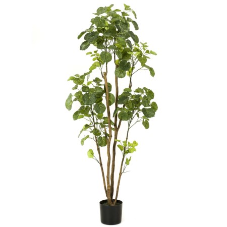 Emerald Polyscias artificial con maceta 160 cm de , Flora artificial - Ref: Foro24-431034, Precio: 135,34 €, Descuento: %