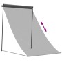 Toldo retráctil de tela y acero gris antracita 100x150 cm de , Toldos - Ref: Foro24-368750, Precio: 40,78 €, Descuento: %