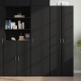 Aparador de madera de ingeniería negro 50x42,5x185 cm de , Aparadores - Ref: Foro24-3281414, Precio: 180,47 €, Descuento: %