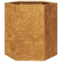 Jardinera hexagonal 46x40x45 cm acero desgastado de , Maceteros y jardineras - Ref: Foro24-851120, Precio: 47,80 €, Descuento: %