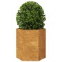 Jardinera hexagonal 46x40x45 cm acero desgastado de , Maceteros y jardineras - Ref: Foro24-851120, Precio: 47,80 €, Descuento: %