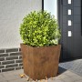 Jardinera de acero oxidado 50x50x50 cm de , Maceteros y jardineras - Ref: Foro24-851078, Precio: 61,38 €, Descuento: %