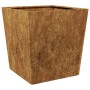 Jardinera de acero oxidado 50x50x50 cm de , Maceteros y jardineras - Ref: Foro24-851078, Precio: 61,38 €, Descuento: %