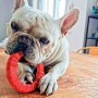 Ferplast Juguete dental para perros Smile rojo grande 20x18x4 cm de , Juguetes para perros - Ref: Foro24-442647, Precio: 20,2...